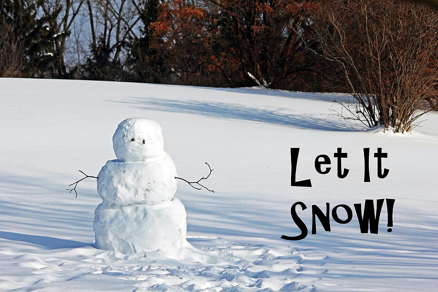 Let It Snow Snowman Photograph by Debbie Oppermann