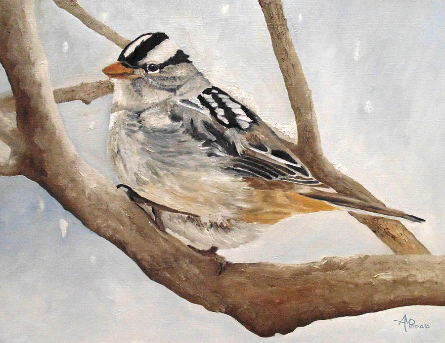 Let It Snow - White-crowned Sparrow Painting by Angeles M Pomata
