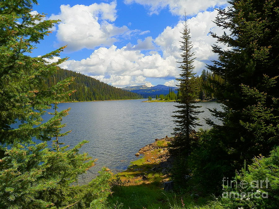 Let Nature Be Your Guide Through Another Day Payette National Forest ...