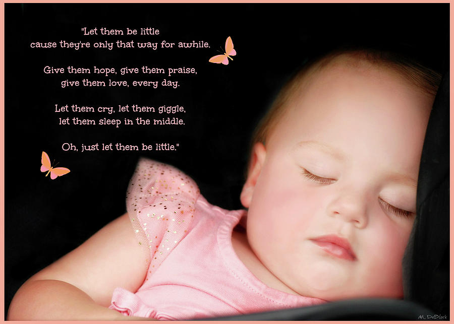 Let Them Be Little lyrics featuring Sophie Photograph by Marilyn ...