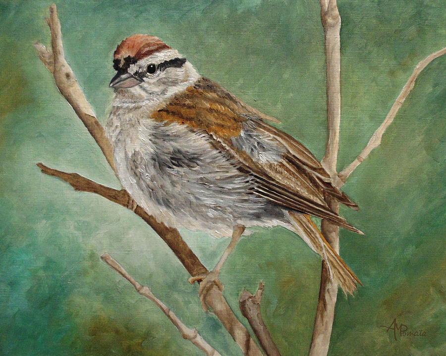 Chipping Sparrow Painting - Let Us See What Comes Next by Angeles M Pomata