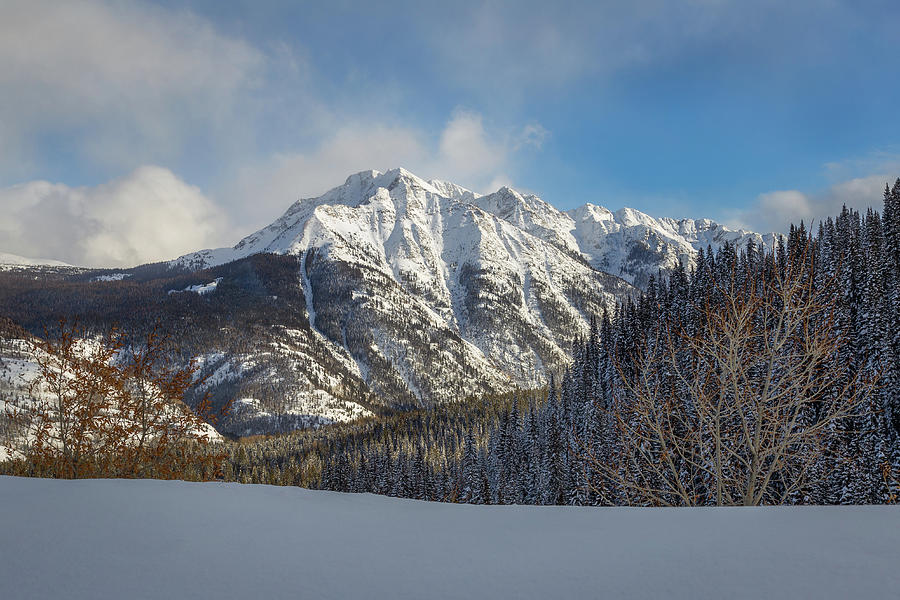 Winter Splendor Photograph by Jen Manganello