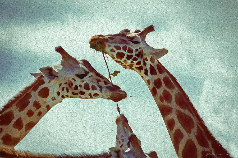 Africa Painting - Lets Share - Giraffe - Painting by Ericamaxine Price Africa Painting - Lets Share - Giraffe - Painting by Ericamaxine Price