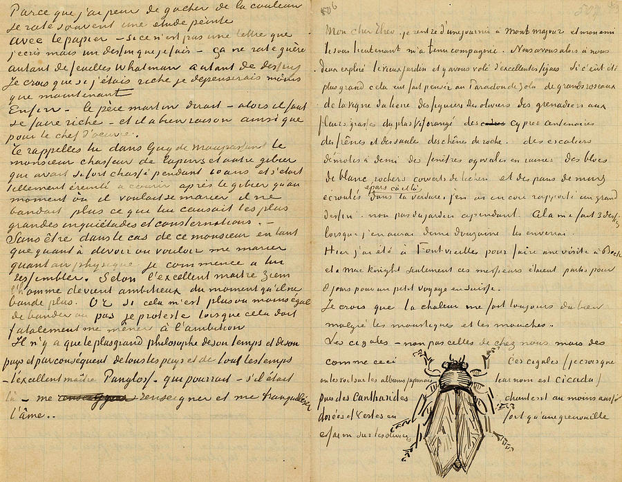 Letter from Vincent van Gogh to Theo van Gogh with sketch of Cicada  Painting by Vincent Van Gogh