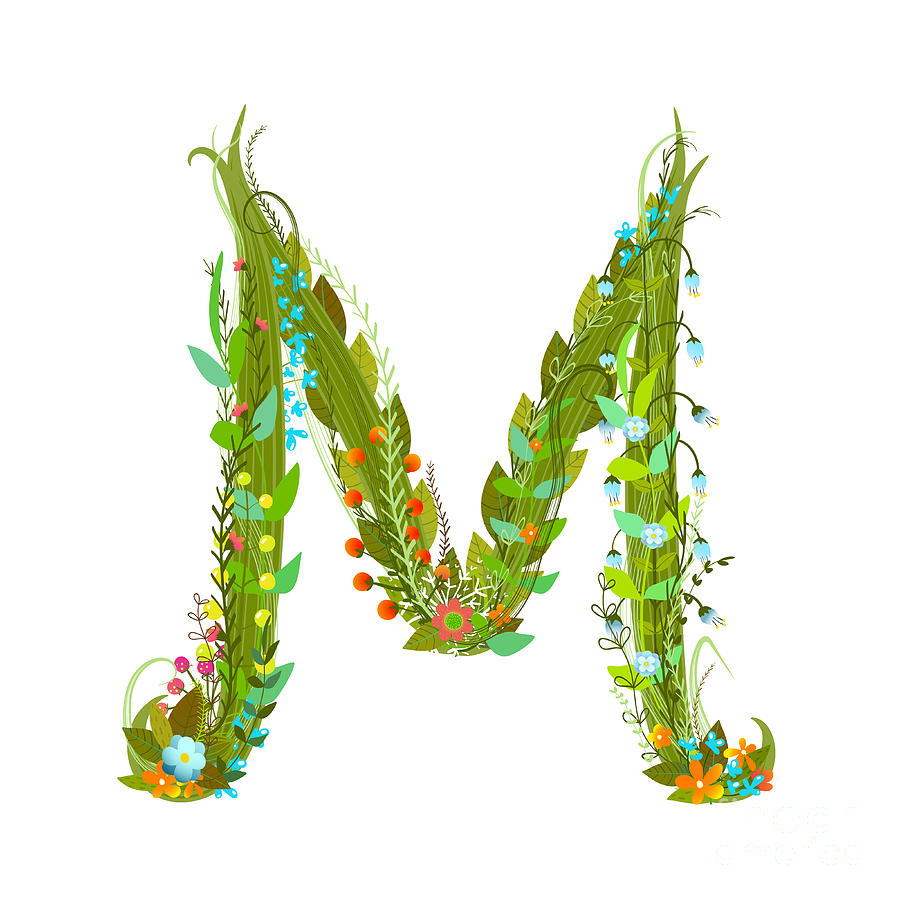 Letter M Flower Calligraphy Floral Digital Art by Popmarleo - Pixels