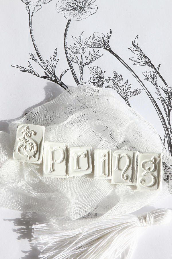 Spring Photograph - Letters Spelling spring Embossed In Modelling Clay Blocks On Piece Of Gauze by Regina Hippel