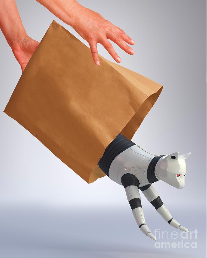 Letting The Robot Cat Out Of The Bag Photograph by Tim Vernon/science Photo Library