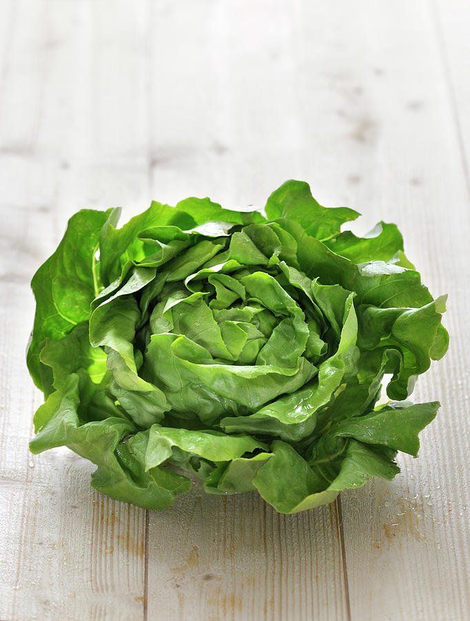 Lettuce Photograph by Carnet