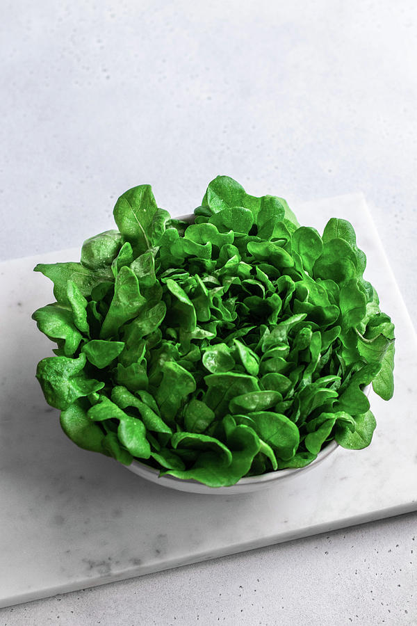 Lettuce In A Bowl Photograph by Yulia Shkultetskaya
