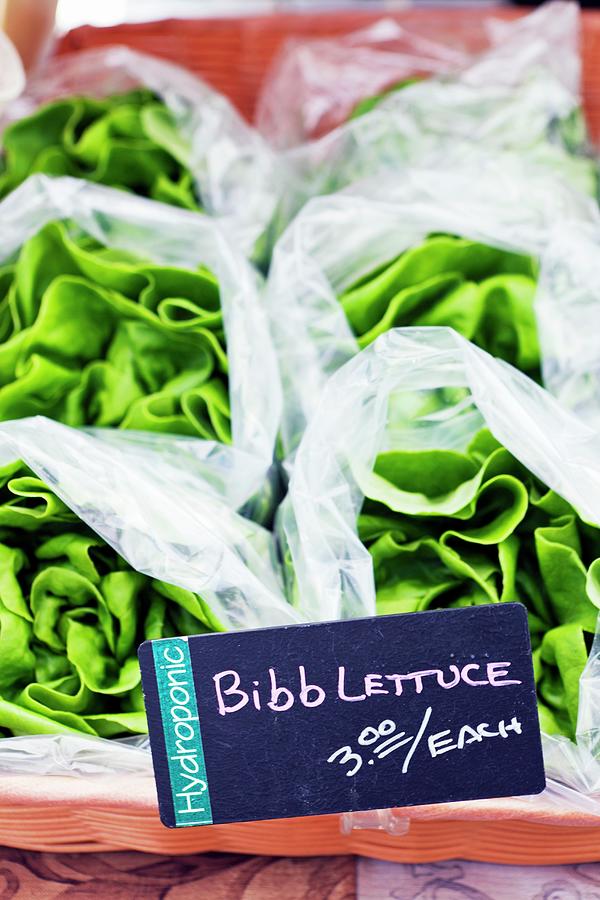 Lettuce In Plastic Bags At A Farmers Market Photograph by Amy Kalyn Sims