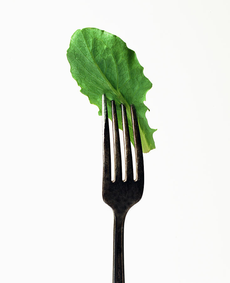 Lettuce Leaf On A Fork Photograph by Emily Brooke Sandor