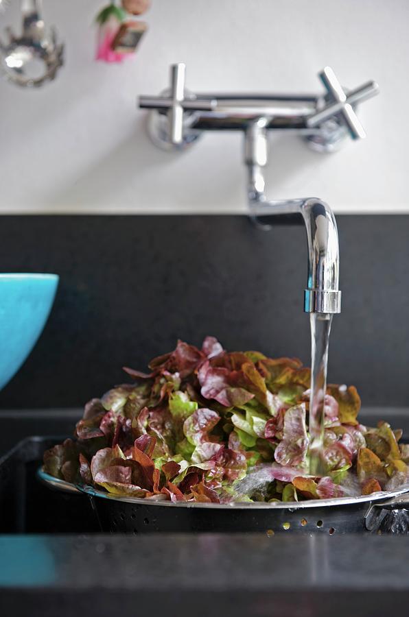 Lettuce Leaves In Colander Under Running Water Photograph by Winfried Heinze