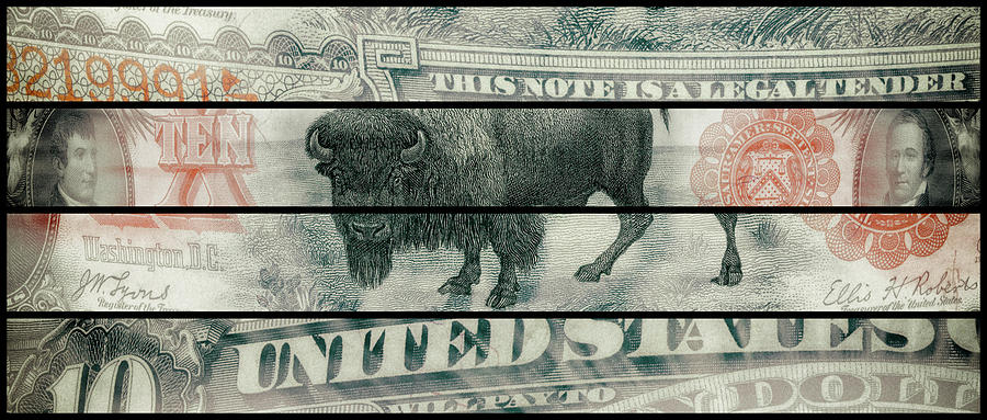 Lewis and Clark 1901 American Bison Ten Dollar Bill Currency Polyptych Artwork Digital Art by Shawn OBrien