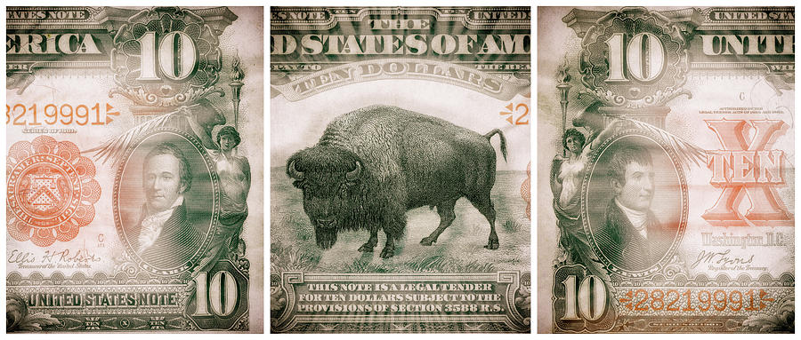 Lewis and Clark 1901 American Bison Ten Dollar Bill Currency Triptych Artwork Digital Art by Shawn OBrien