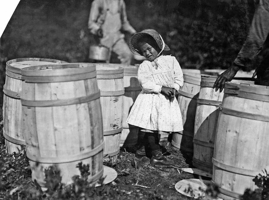Lewis Hine - Mary Christmas, nearly 4 years old. Picks cranberries sometimes. She is now picking up  Painting by Celestial Images