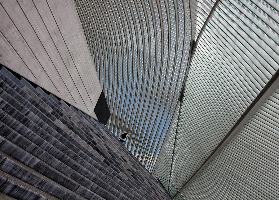 Liage-guillemins Photograph by Yvette Depaepe