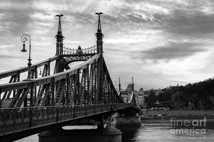 Liberty bridge in Budapest Photograph by Louise Poggianti
