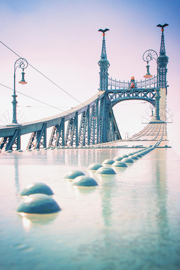 Liberty Bridge Photograph by Iryna Goodall