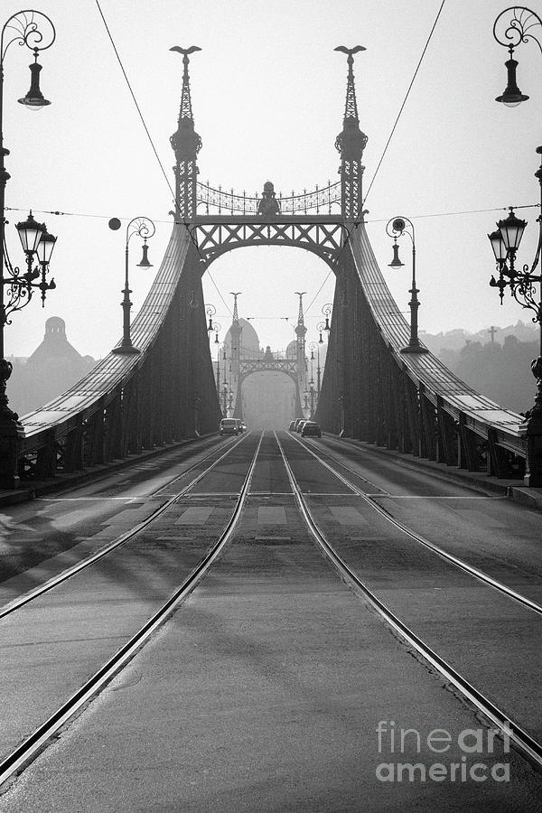 Liberty Bridge Photograph by Sndr