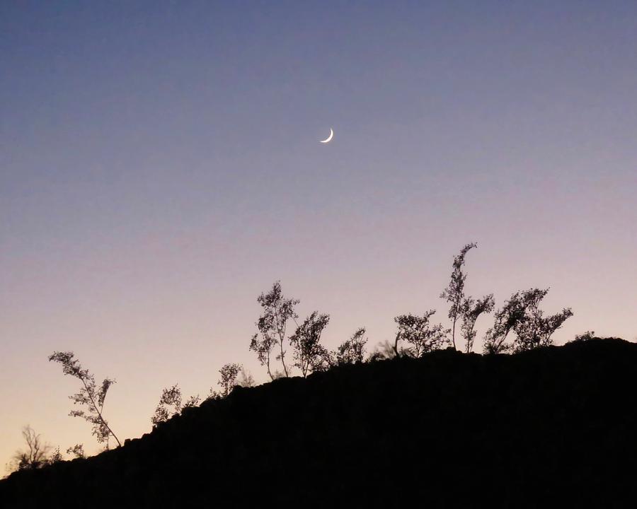 Libra Twilight Crescent Photograph by Judy Kennedy