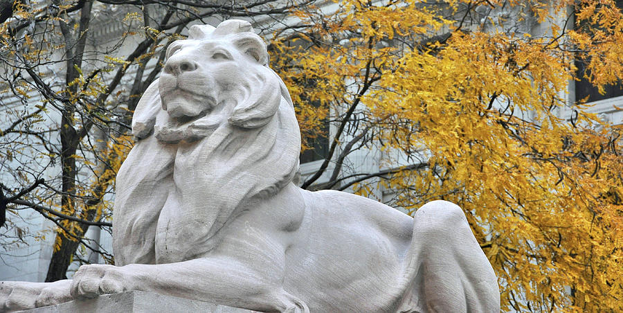 Fall Photograph - Library Lion by JAMART Photography