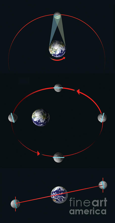 Libration Of Lunar Orbit by Tim Brown/science Photo Library