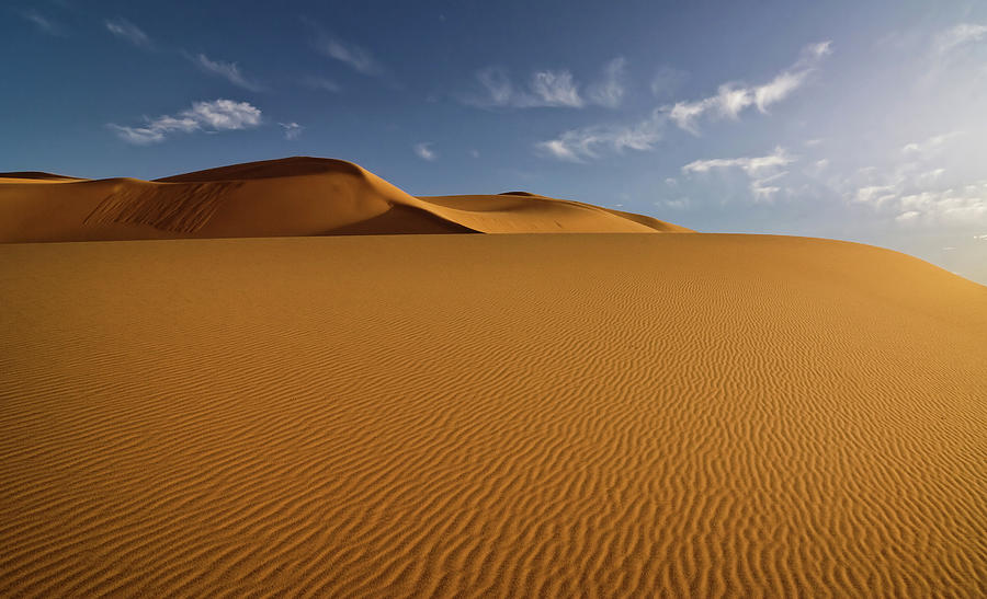 Libya Sand Dune Photograph by Cinoby