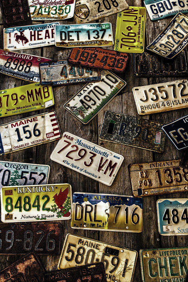 License Plates on Old Wall Photograph by Darryl Brooks