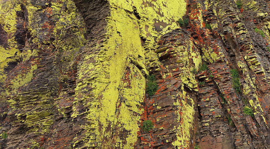Lichen Cliff Panoramic Photograph by Leland D Howard