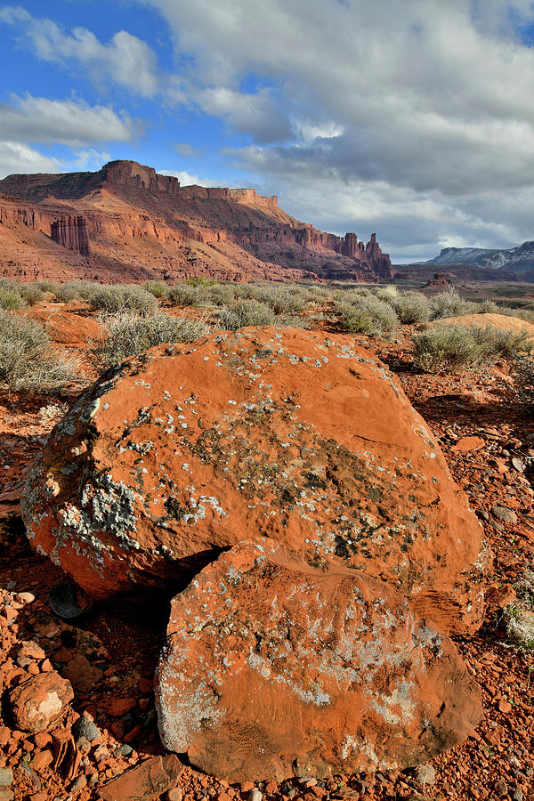 Lichen Covered Boulder and Fisher Towers in Utah Photograph by Ray Mathis