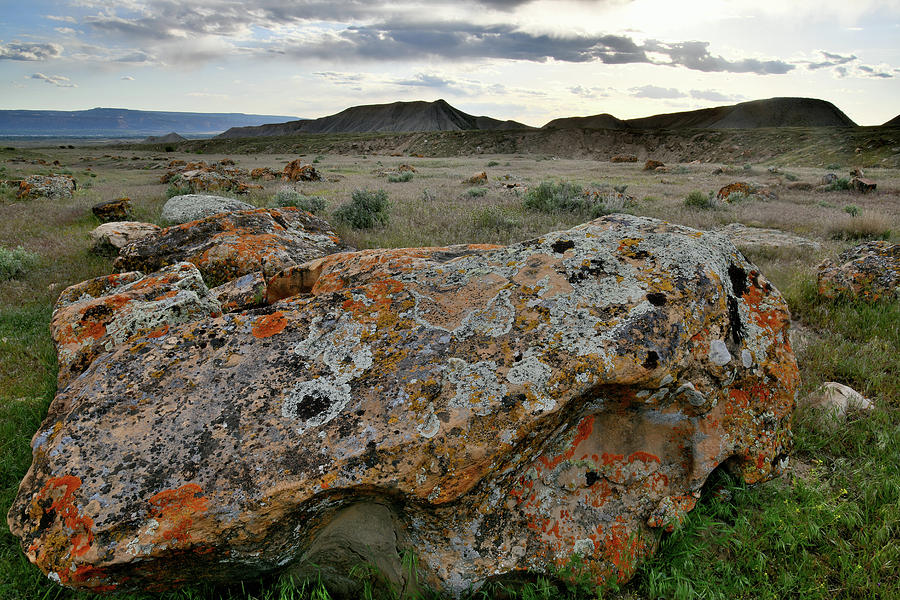 Lichen Covered Boulder in Book Cliffs Desert Photograph by Ray Mathis