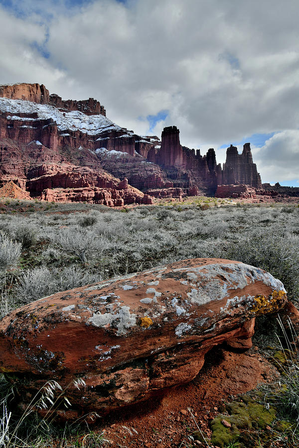 Lichen Covered Boulder near Fisher Towers in Utah Photograph by Ray Mathis