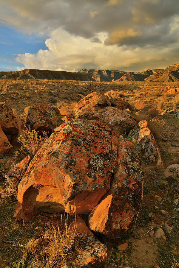 Lichen Covered Boulders of the Book Cliffs Photograph by Ray Mathis