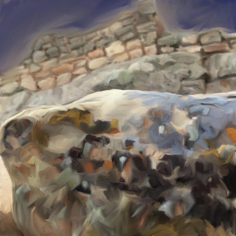 Lichen Rock Wall Mixed Media by Jonathan Thompson