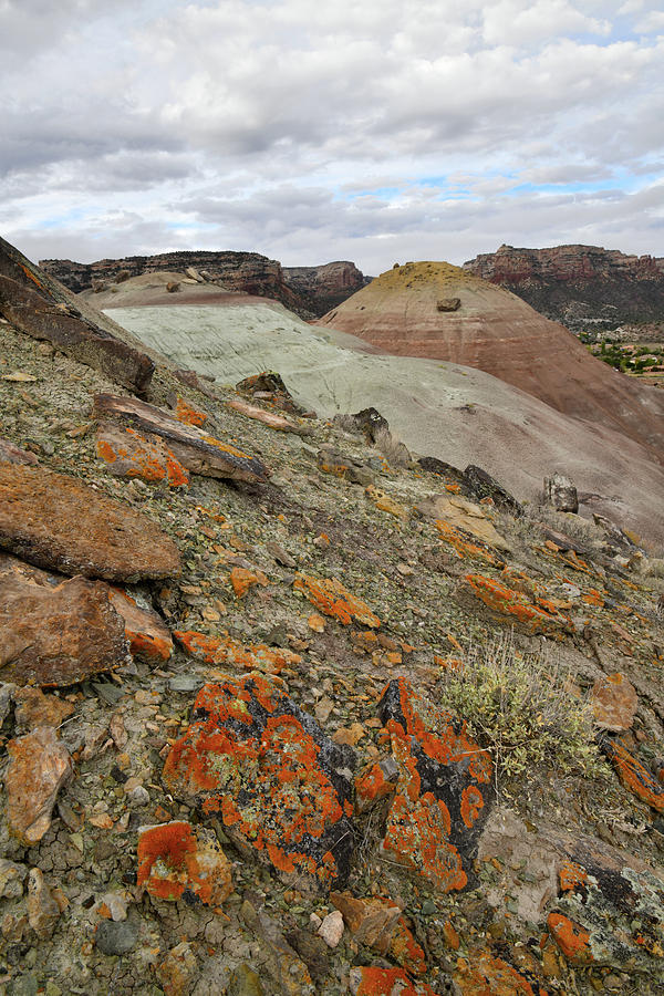 Lichens on the North Side of Ancient Volcanoes in Grand Junction CO Photograph by Ray Mathis