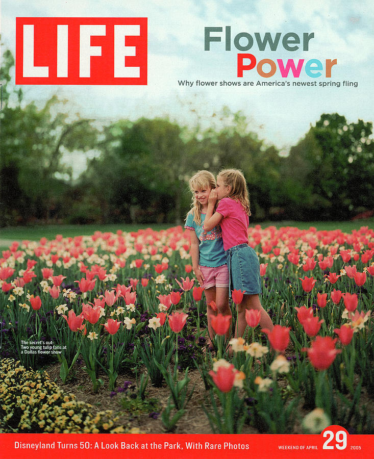 LIFE Cover: April 29, 2005 Photograph by Greg Miller