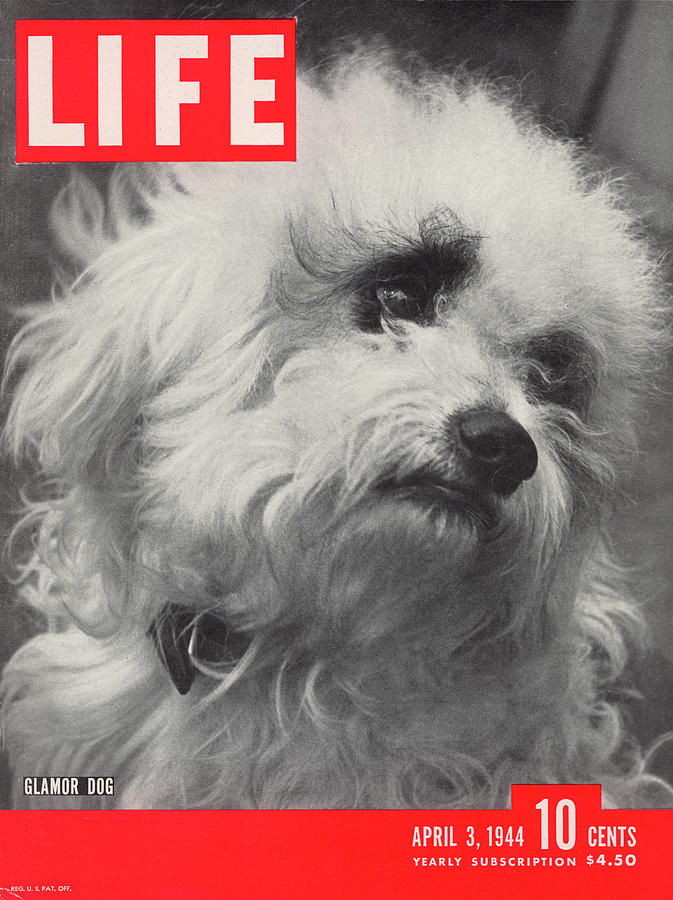 LIFE Cover: April 3, 1944 Photograph by Nina Leen