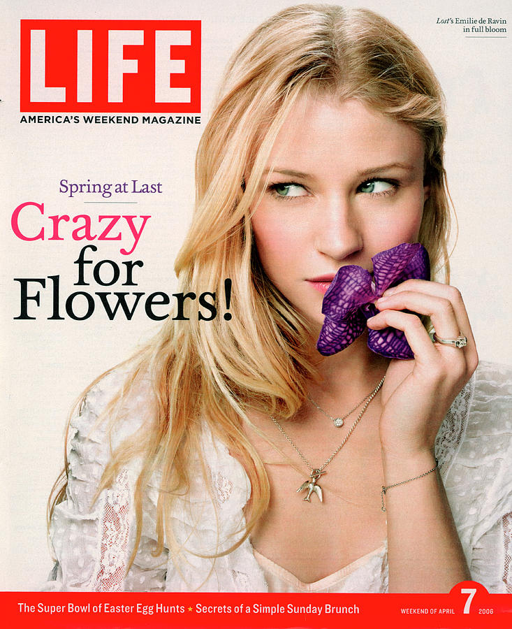 Orchid Photograph - LIFE Cover: April 7, 2006 by Karina Taira