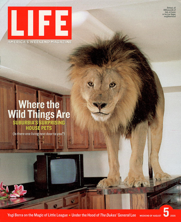 LIFE Cover: August 5, 2005 Photograph by Marc Joseph
