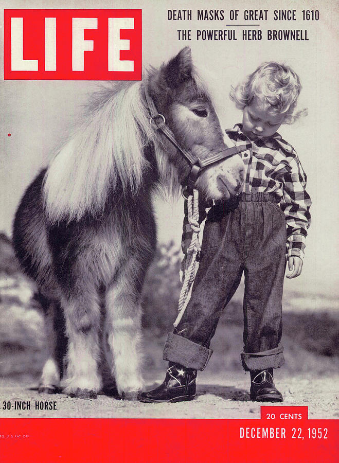 LIFE Cover: December 22, 1952 Photograph by Edward Clark