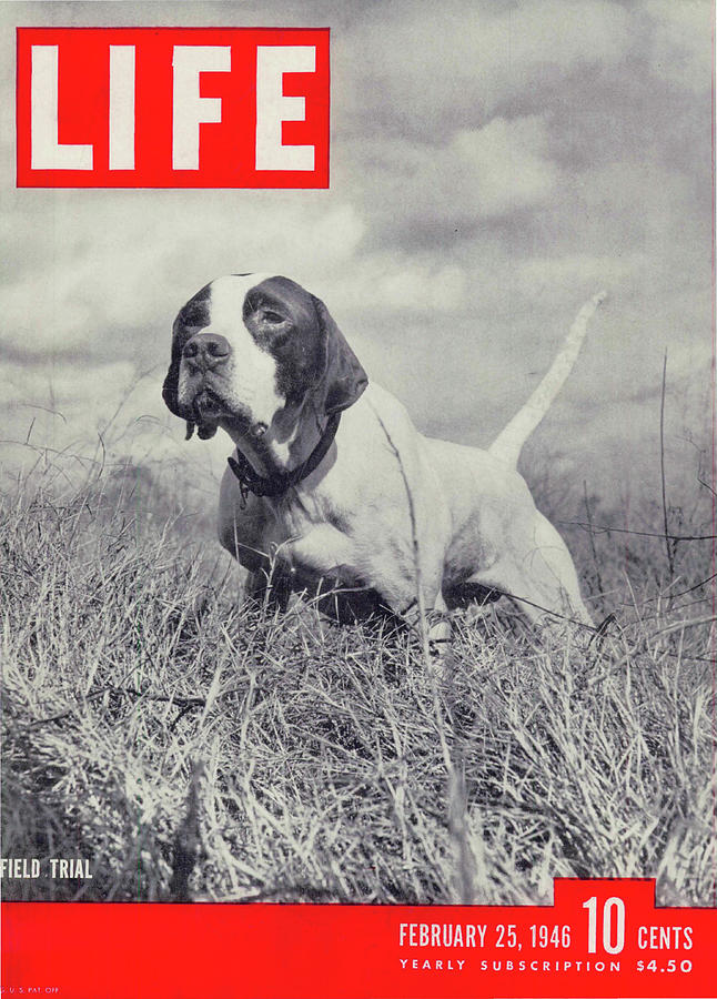 LIFE Cover: February 25, 1946 Photograph by William C. Shrout