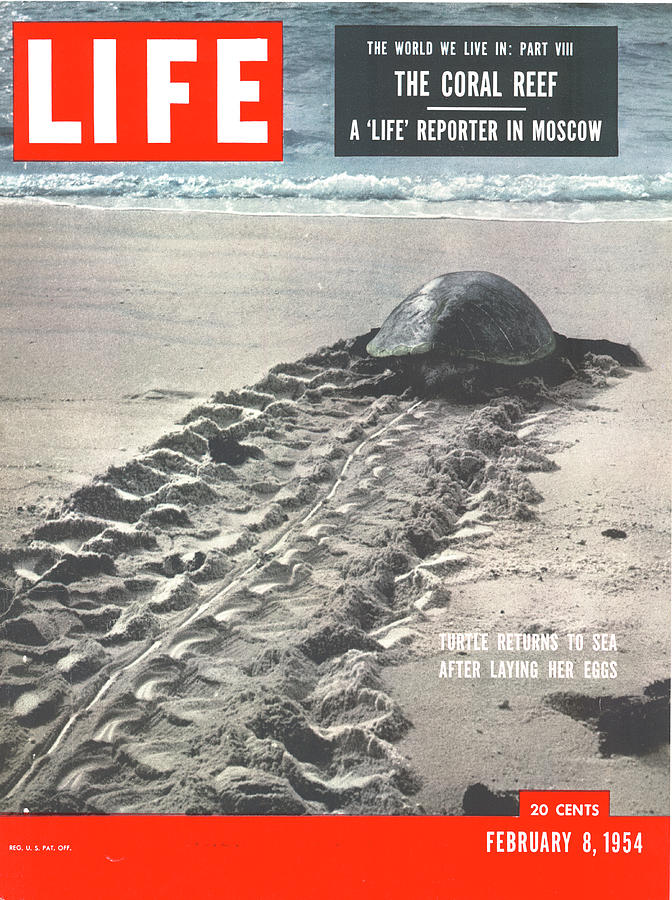 LIFE Cover: February 8, 1954 Photograph by Fritz Goro