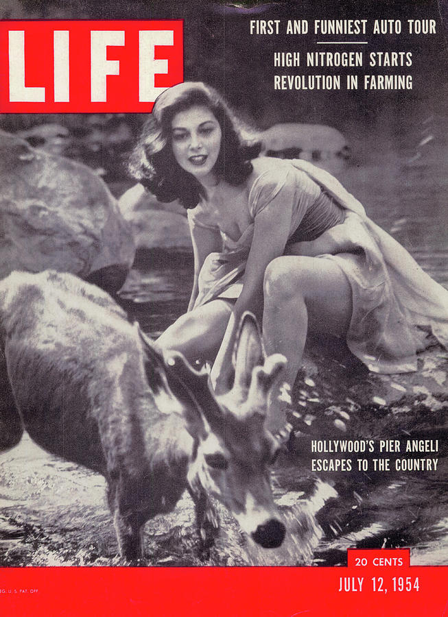 LIFE Cover: July 12, 1954 Photograph by Allan Grant
