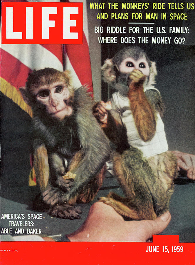 LIFE Cover: June 15, 1959 Photograph by Hank Walker