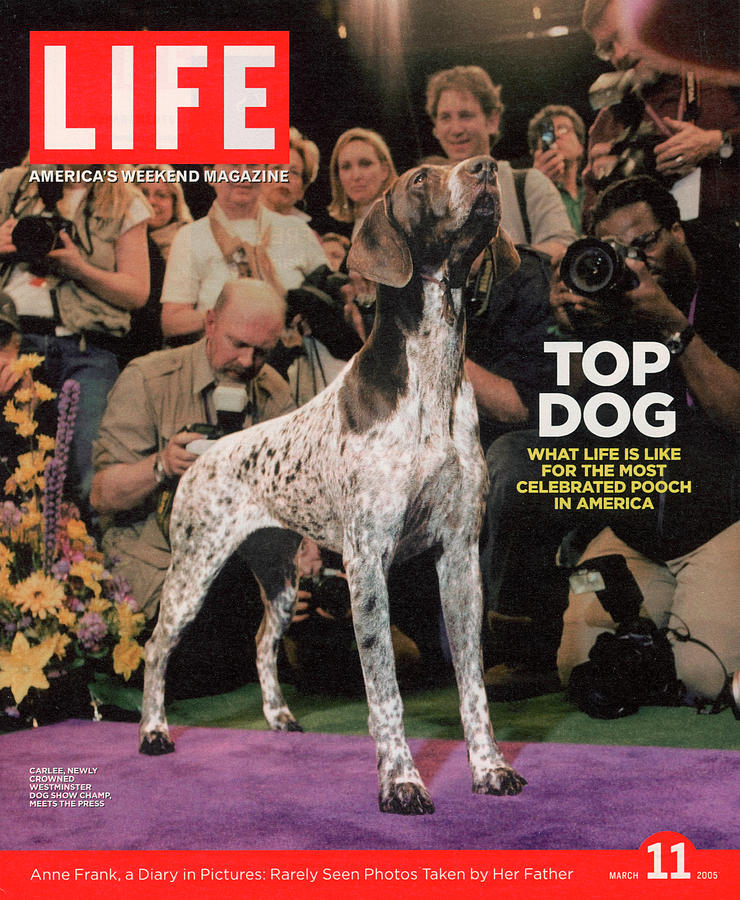 Dog Photograph - LIFE Cover: March 11, 2005 by Andrew Hetherington