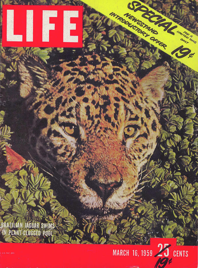 LIFE Cover: March 16, 1959 Photograph by Dmitri Kessel