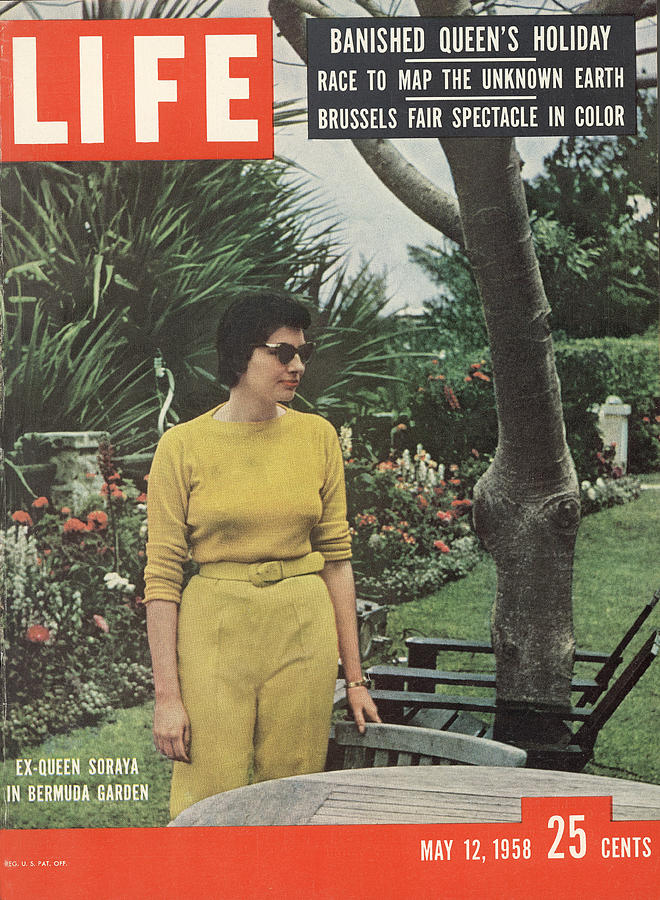 Queen Photograph - LIFE Cover: May 12, 1958 by Gordon Parks