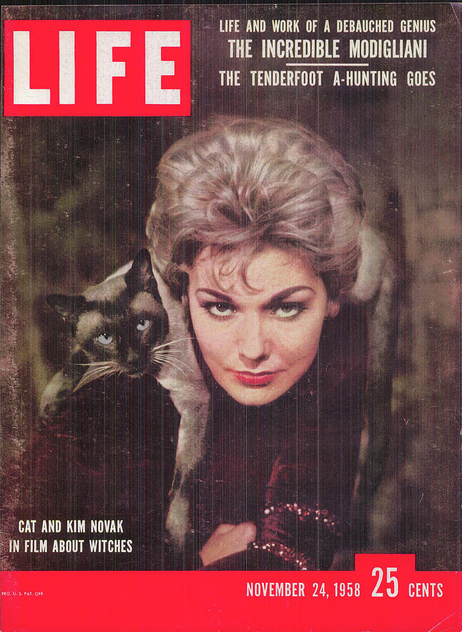 Kim Novak Photograph - LIFE Cover: November 24, 1958 by Ralph Crane