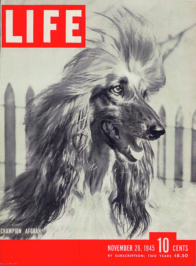 LIFE Cover: November 26, 1945 Photograph by Nina Leen