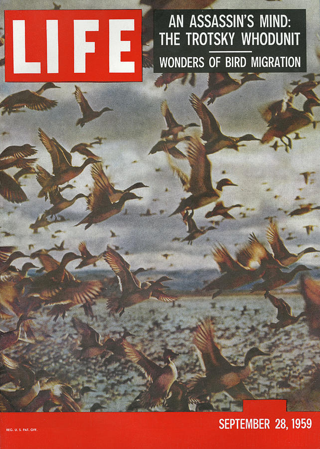 LIFE Cover: September 28, 1959 Photograph by J.R. Eyerman